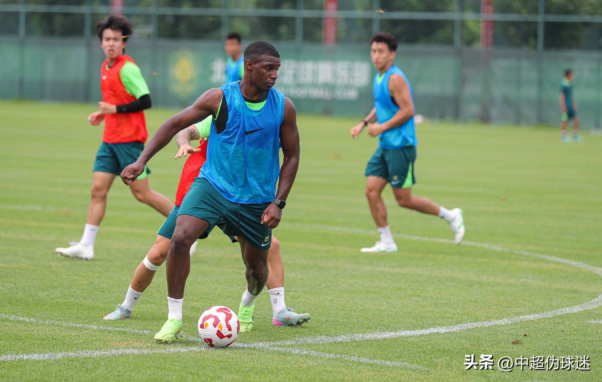 亲的行动不 亲的行动不